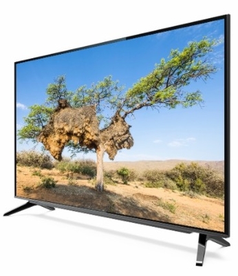 Google TV DLED Quantum Dot Film e suporte ao Vesa Mount