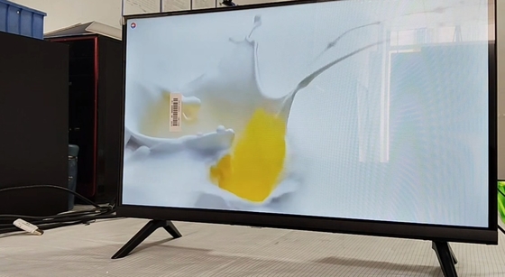 24 polegadas T2S2 Digital TV LCD de pequeno tamanho Não-OS com multimídia